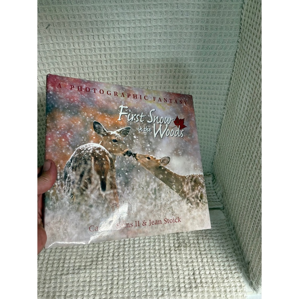 Naturecore Childrens Carl R Sams II First Snow in the Woods Hardcover OS Brown